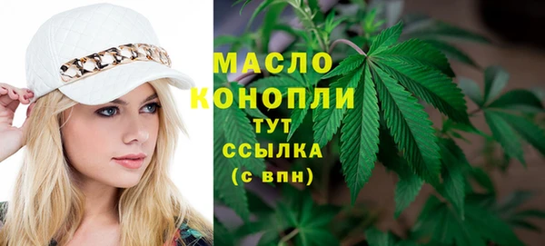 СК Новодвинск