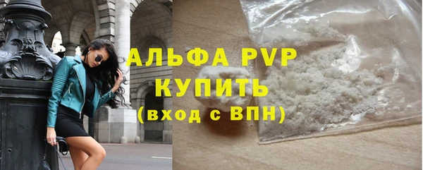 СК Новодвинск