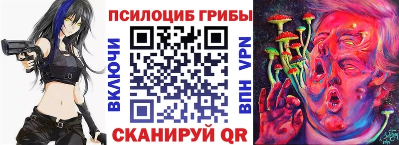 Галлюциногенные грибы Magic Shrooms закладки Великий Новгород