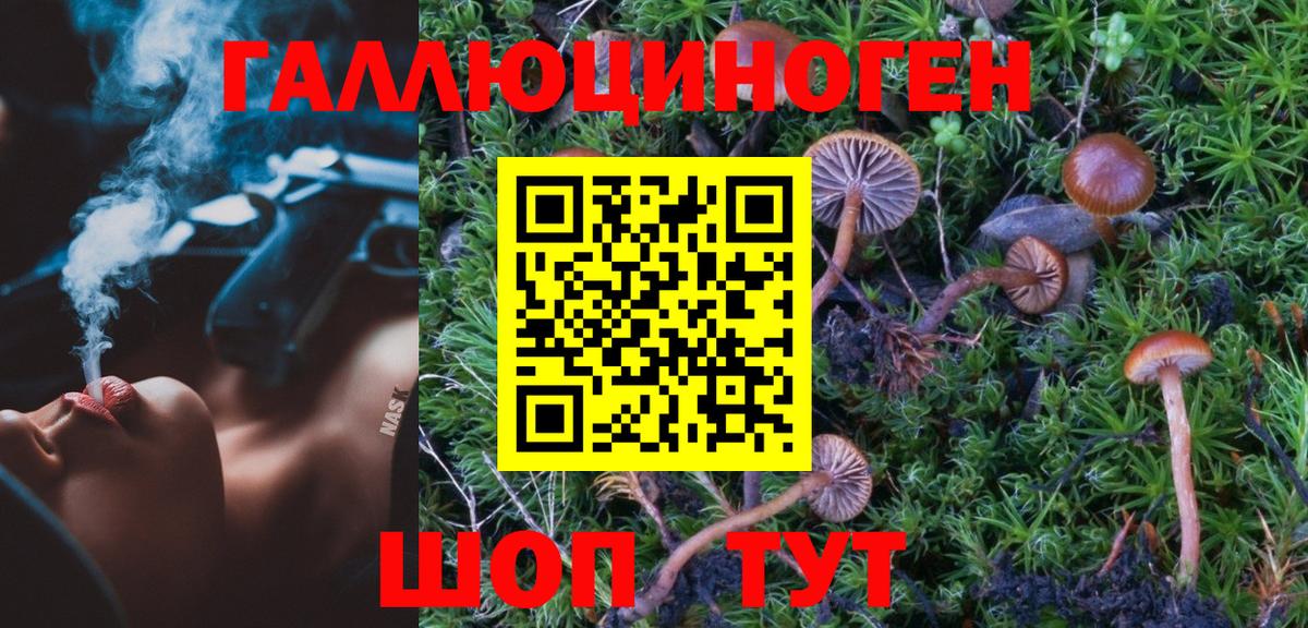 Галлюциногенные грибы ЛСД  Вход с VPN  Галлюциногенные грибы GOLDEN TEACHER  Великий Новгород 